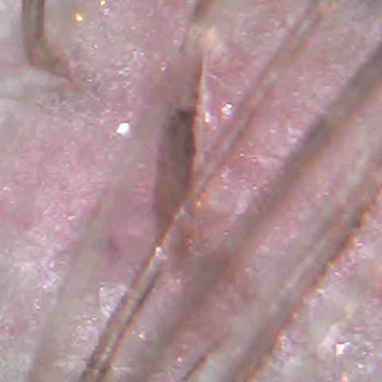 Ольга Токарева, Київ Фото - 23