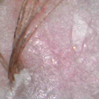 Ольга Токарева, Київ Фото - 24