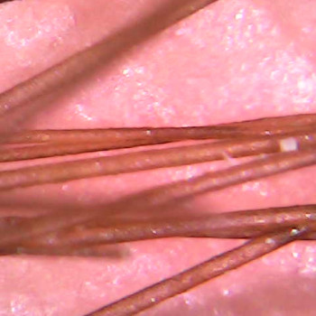 Ольга Токарева, Київ Фото - 26