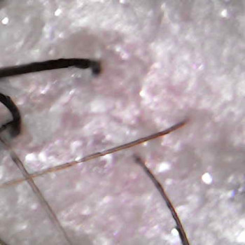 Ольга Токарева, Київ Фото - 28