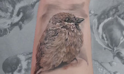  Тату салон TattooDim Полтава