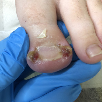 Ірина Абраменко, Кременчуг Фото - 7