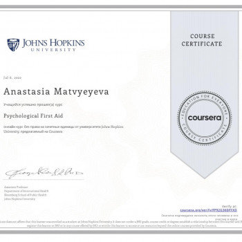 Психологическое консультирование
                    Психолог Анастасия Николаев