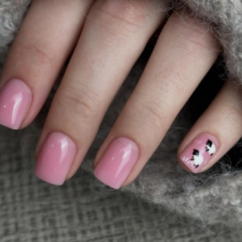 Moon, Київ Фото - 1