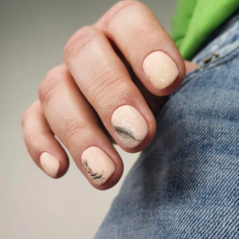 DeKrasa, Софиевская Борщаговка Фото - 5