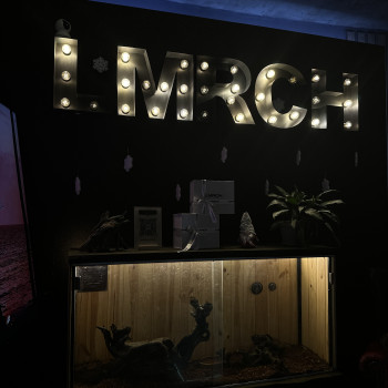 Фото из портфолио салона TATTOO LAMARCH (тату салон, Днепр)