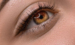 Межресничка Бровист Олена Александрия