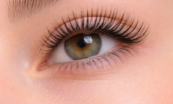 Окрашивание ресниц Бровіст Алена Одеса