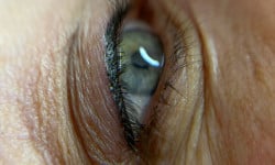  Майстер перманентного макіяжу  Хмельницький