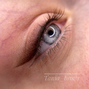 Розтушована стрілочка
                    Мастер перманентного макияжа  Хмельницкий