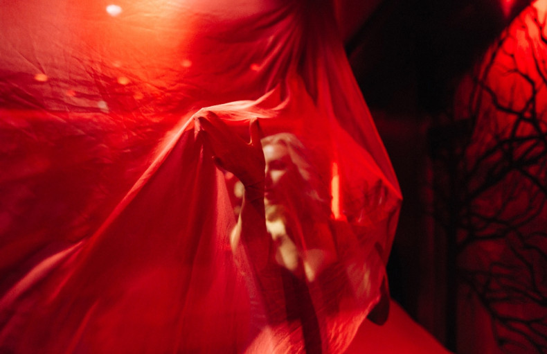 Красный маникюр фотосессия в нижнем белье эротическая, фото - Свадебный фотограф Анна Шаульская