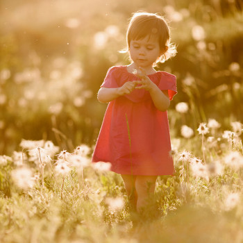 Фото из портфолио мастера Анна Шаульская (свадебный фотограф, Харьков)