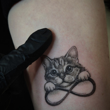 Тату кішка знак нескінченність, фото - Тату майстер Ірина Собко