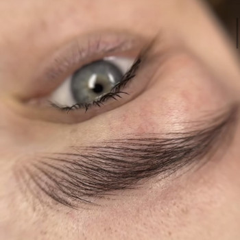 Волосковий перманент брів