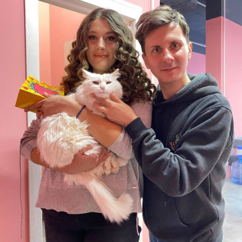 Фото з портфоліо салону Retreat beauty place (салон краси, Київ)