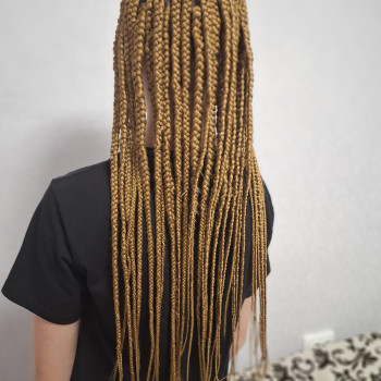 Фото из портфолио мастера Анастасія Петренко (брейдер, Харьков)