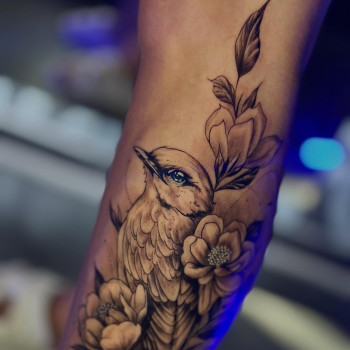 Дмитро Акула, Київ Фото - 6