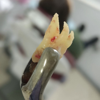 RECOMENDENT, Сумы Фото - 6