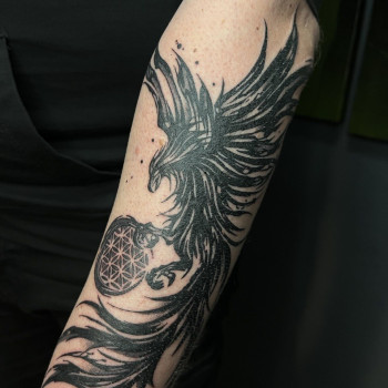 Adelina , Чернигов Фото - 2