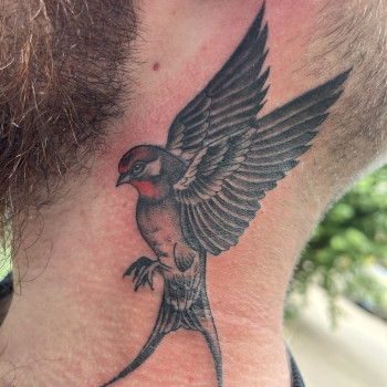 Adelina , Чернигов Фото - 6