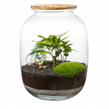 IST, Київ Фото - 5