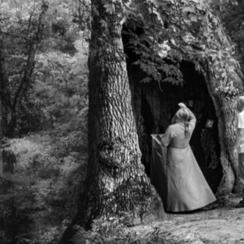 Сергій Рижков, Київ Фото - 6