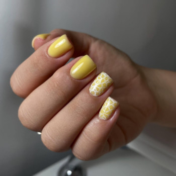 Фото с портфолио Detka