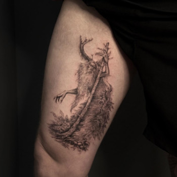 Фото с портфолио Golka