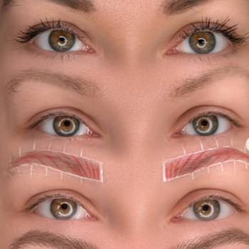 Фото из портфолио салона Olya Ray (студия татуажа, Киев)