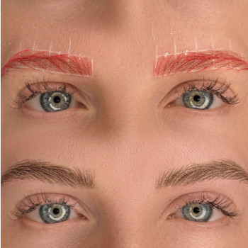 Фото из портфолио салона Olya Ray (студия татуажа, Киев)