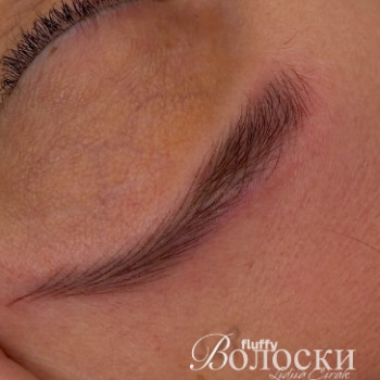 Фото из портфолио мастера Лидия Чирак (мастер перманентного макияжа, Киев)