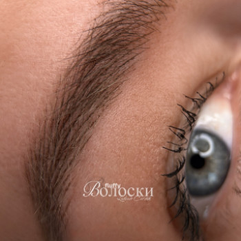 Фото из портфолио мастера Лидия Чирак (мастер перманентного макияжа, Киев)