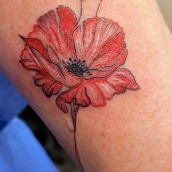 Фото из портфолио мастера Виктория Силантева (мастер перманентного макияжа, Киев)