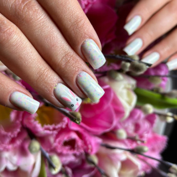 Фото с портфолио NLD