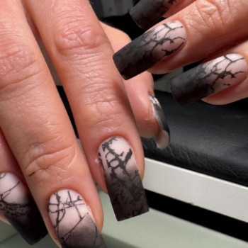 Фото с портфолио My Ideal