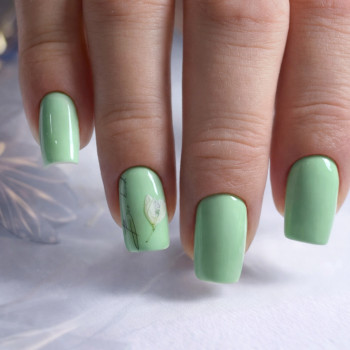 Фото с портфолио Людмила Матвєєва