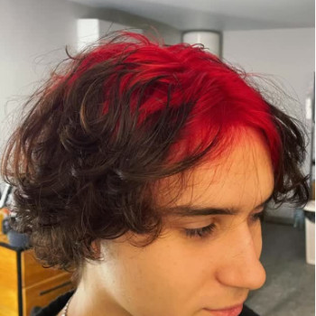 Фото с портфолио OWL