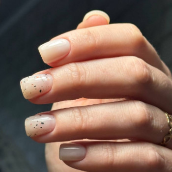 Фото с портфолио Colibri