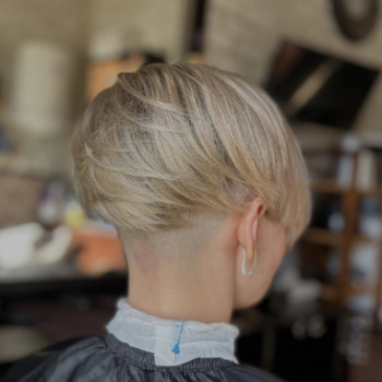 Фото с портфолио Colibri