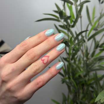 Фото с портфолио ST