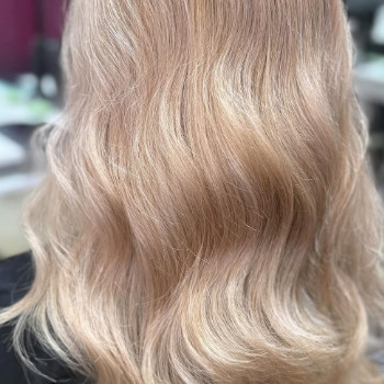 Фото с портфолио Mixton