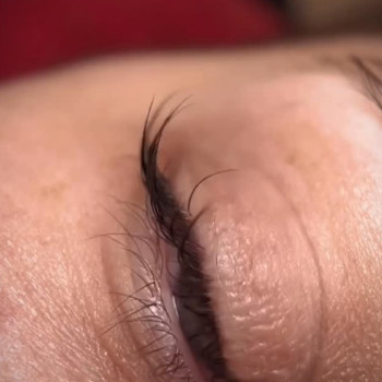 Фото с портфолио NS