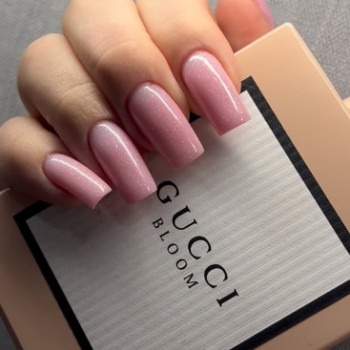 Фото с портфолио Колибри