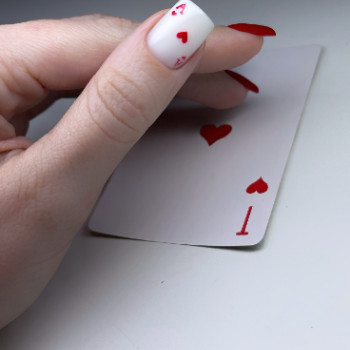 Фото с портфолио DMD