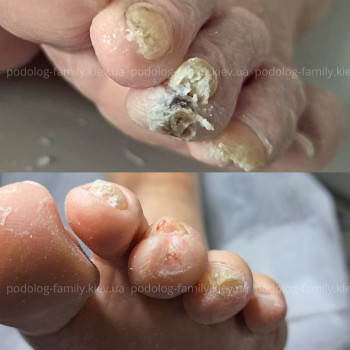 Фото с портфолио Катерина Олександрівна Олійник