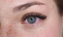  Лешмейкер  Київ