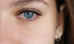  Лешмейкер  Київ