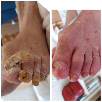 Фото с портфолио Ірина Василенко