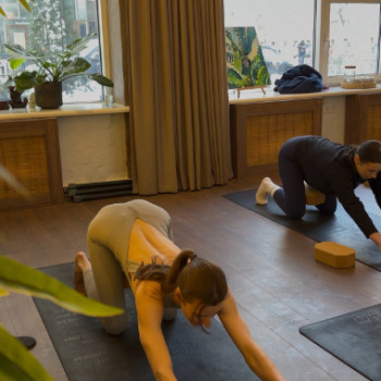 Фото с портфолио StarSeed