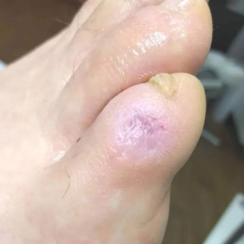 Фото с портфолио Ольга Живець